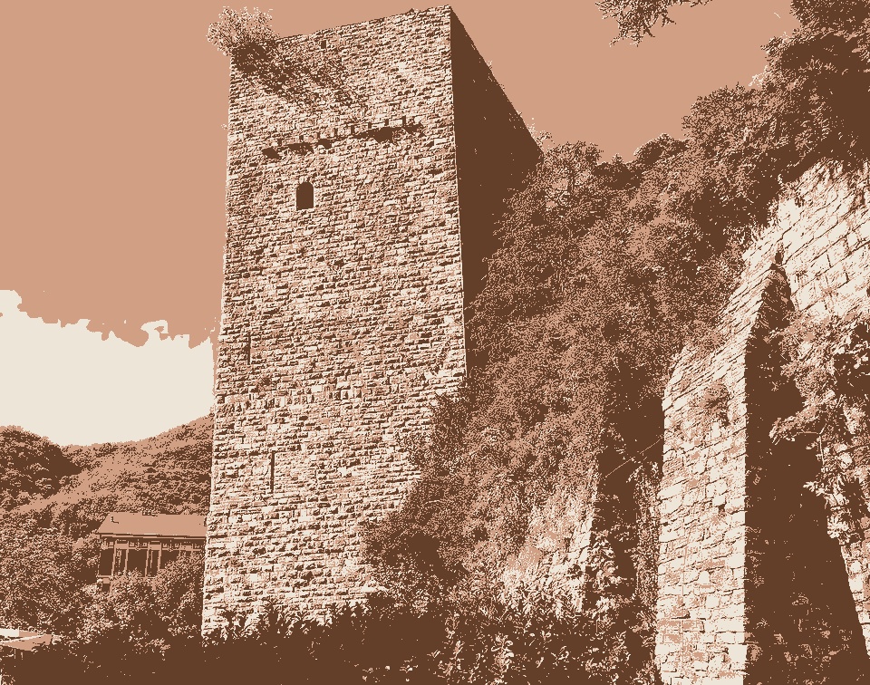 Immagine della torre Gattoni